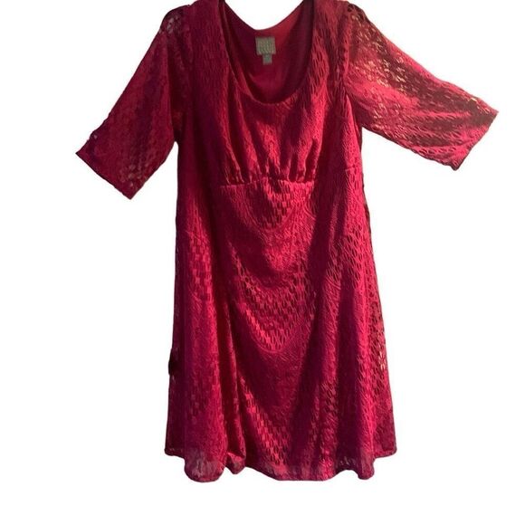 Pre Owned Women’s Rabbit Rabbit Rabbit Lacey Dress Sz 15W - Picture 1 of 11